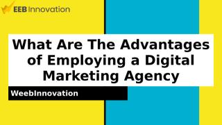 What Are The Advantages of Employing a Digital Marketing Agency.pptx